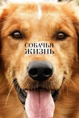 скачать бесплатно Фильм Собачья жизнь (2017) торрент